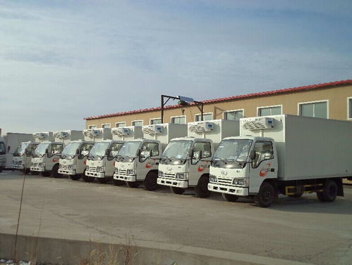 上海閔行海鮮冷鏈物流上海閔行冷藏貨運(yùn)冷鏈費(fèi)用